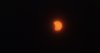 DSCF1254.jpg
